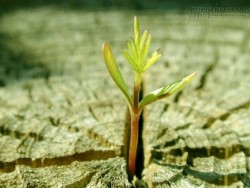 Để có một cuộc sống hạnh phúc
