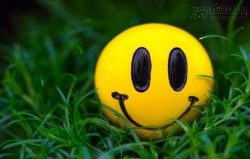 6 Bước Để Chiến Thắng Bệnh Lưỡng Lự