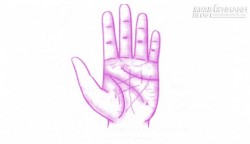 Tướng tay nữ giới bật mí tình yêu và tính cách