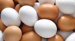 10 mẹo bảo quản trứng bạn nên biết