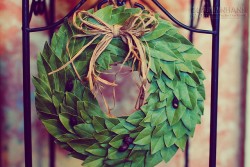 Vòng nguyệt quế cho người thua cuộc