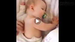Sếp ngủ phải có người gãi lưng cho cơ