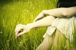 Hạnh Phúc chính là con đường ta đang đi