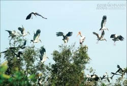 Những địa điểm không thể bỏ lỡ khi du lịch Cà Mau