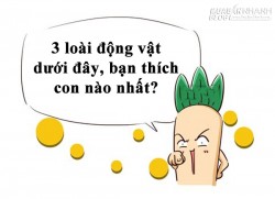 Tính cách tiềm ẩn của bạn là gì