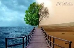 Hãy suy nghĩ trước khi phán xét người khác