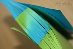 Làm được điều này bạn sẽ khỏe hơn ô tô và xe tăng gộp lại: kéo hai cuốn sách đan xe nhau