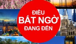 Săn vé 0 đồng của AirAsia vào 11 giờ tối ngày 6/9