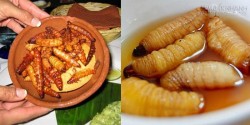 Rợn người với 5 món ăn kinh dị chỉ có ở Việt Nam