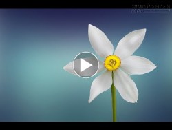 Bản nhạc được chứng minh giảm căng thẳng mệt mỏi stress và mệt mỏi hiệu quả nhất