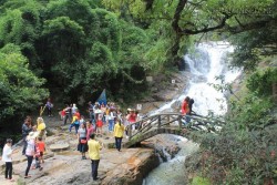 Những hoạt động mạo hiểm ở thác Datanla