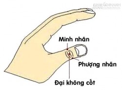 Mẹo hay chữa lão thi, cận thị không cần dùng thuốc