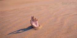 Làm sao để thoát khỏi vùng cát lún