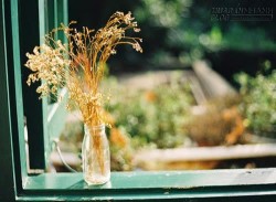 Tử vi ngày mới: Bảo Bình thắt chặt chi tiêu – Sư Tử lấy lại phong độ