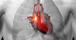 Giải pháp giúp tim không đập quá nhanh