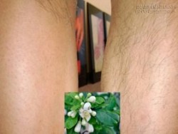 Tẩy sạch vi-ô-lông bằng lá bưởi hiệu quả và tiết kiệm không ngờ