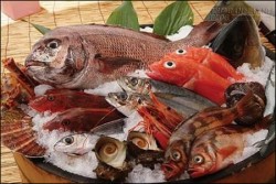 Cách chọn cá tươi ngon cho món ăn thêm phần hấp dẫn