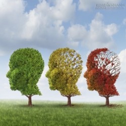 Bệnh Alzheimer có thể lây từ người sang người