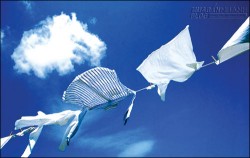 Quần áo vẫn khô nhanh khi trời mưa kéo dài với 7 cách này