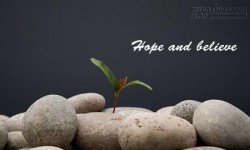 Không đầu hàng số phận