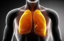 Cách lọc sạch phổi trong 3 ngày dù người đó có thâm niên hút thuốc 40 năm