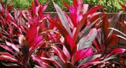 11 cách loại bỏ hầu hết độc tố ra khỏi cuộc sống