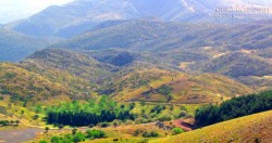 Lời nguyền biến đàn ông thành sói trên núi Lykaion