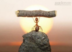 4 bài học quý giá nhất rút ra từ cuộc sống