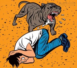 Cách tự vệ khi bị chó dữ tấn công