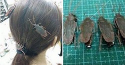 Cặp tóc gián – trào lưu kinh dị của những cô nàng yêu côn trùng