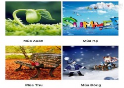 Tiết lộ tính cách của bạn qua các mùa trong năm