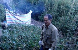 Thần y 15 năm ở ẩn tuyên bố sẽ giúp vạn người tránh bệnh ung thư