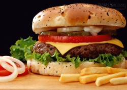 Ăn một chiếc bánh hamburger kiểu Mỹ, cơ thể cần 3 ngày để tiêu hóa
