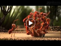 Sức mạnh của sự phối hợp