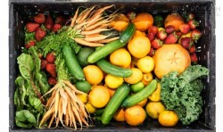 9 loại rau củ chứa chất độc và không nên ăn