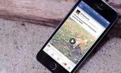 Cách tắt chế độ tự động phát video trên facebook