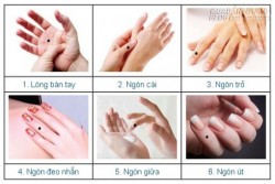 Đoán tài lộc cuộc đời qua nốt ruồi trên bàn tay