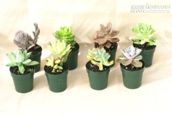 Yếu tố quyết định đến đường công danh, sự nghiệp học hành của bạn