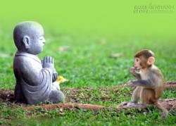 Bài học lòng bao dung