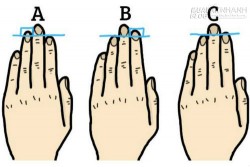 Đo chiều dài ngón tay, chọn nghề nghiệp phù hợp