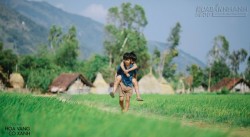 Tôi Thấy Hoa Vàng Trên Cỏ Xanh – Hiện tượng chưa từng thấy trong lịch sử điện ảnh Việt