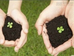 Tiết lộ 4 con giáp được thần may mắn đồng hành trong suốt tháng 10
