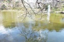 Thiện niệm khiến người ta quảng đại, còn tư tâm khiến người ta nhỏ nhen