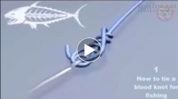 Những cách thắt nút lưỡi câu cá chắc chắn và đẹp mắt nhất