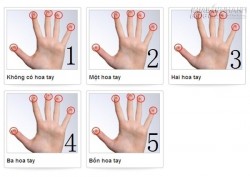 Số Lượng Hoa Tay Tiết Lộ Điều Gì Về Bạn?