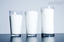 Uống 3 ly sữa mỗi ngày khiến xương dễ gãy và chết sớm hơn