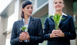 Hạnh phúc có phải xuất phát từ sự so sánh?