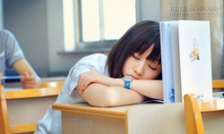Bật mí 8 giấc mơ mang vận may cát tường