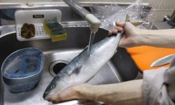 Bí quyết khử sạch mùi tanh của cá trên vật dụng chế biến