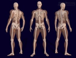 10 Sự thật đáng ngạc nhiên về cơ thể con người